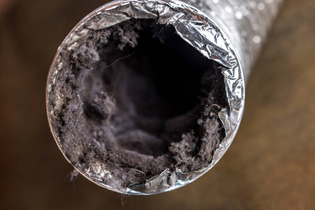 Best Ductwork Cleaning Services  in Ruskin, FL